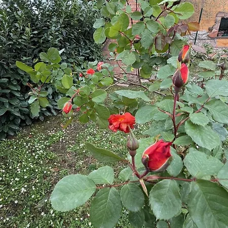 Dimora Della Jana 3*