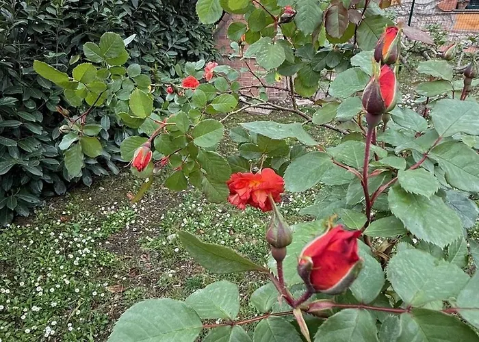 Dimora Della Jana 3*